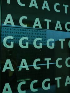 Gene: Mutationen beeinflussen COVID-19 (Foto: pixelio.de, Gabi Schoenemann)