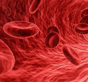 EPFL-Forscher bringen neuen Blutverdünner (Bild: qimono, pixabay.com)