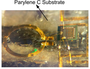 So sieht der implantierbare Transmitter konkret aus (Foto: purdue.edu)