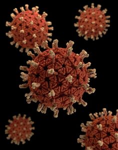 Coronaviren: Grippe begünstigt womöglich Ansteckung (Bild: unsplash.com, CDC)