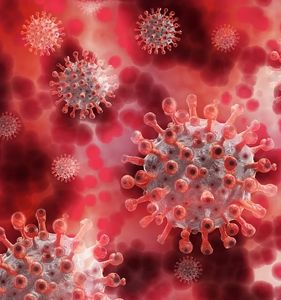 COVID-19: Immunreaktion des Darms erforscht (Foto: pixabay.com, geralt)