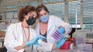 Vorbereitung von Blutproben zur Virus-Immunität (Foto: Alain Herzog/EPFL)