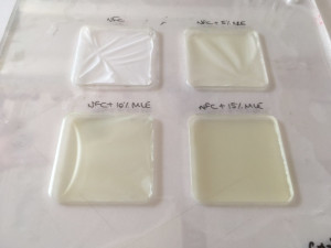 Neue Bioplastikfolien mit unterschiedlichen Mango-Anteilen (Foto: uca.es)