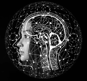 Gehirn: Thalamus steuert neben Sinnesreizen auch die Kognition (Bild: pixabay.com, geralt)