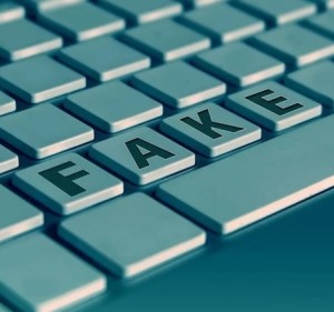 Fake: gezieltem Streuen von Falschinformationen auf der Spur (Foto: geralt, pixabay.com)