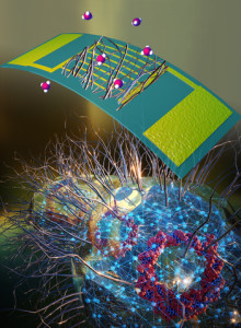 Künstlerische Darstellung des neuen innovativen Schnüffel-Sensors (Illustration: umass.edu)