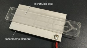 So unscheinbar sieht der Mikroplastikfänger aus (Foto: Yoshitake Akiyama, shinshu-u.ac.jp)