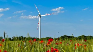 Der neue Windpark Trumau (Foto: Thomas Wilhelm)