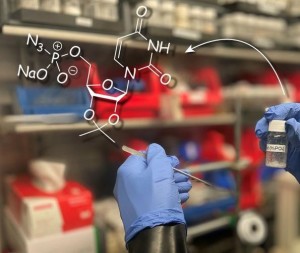 Kompliziertes Biomolekül aus der Gruppe funktionalisierter Nucleotide (Foto: tu-dresden.de)