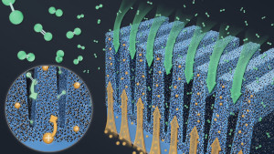 Prinzipskizze der Brennstoffzelle mit neuen Elektroden (Illustration: Nature Energy, 2023)