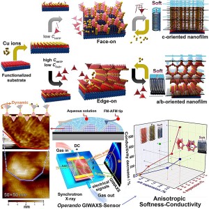 Herstellung leitfähiger MOF-Dünnschichten mit umgekehrten Orientierungen (Bild: Yao Mingshui)