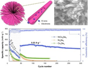 Blütenähnliche Gebilde für effektive Kalium-Ionen-Batterien (Illustration: en.xjtu.edu.cn)