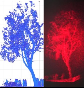 LiDAR-Datensatz (links) und das zugehörige Hologramm (Illustration: Jana Skirnewskaja)