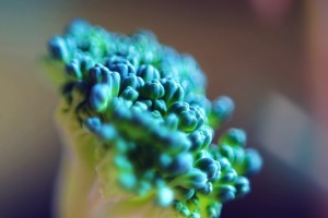 Broccoli: Lächeln beim Essen hilft nicht automatisch (Foto: pixabay.com, Kevin)