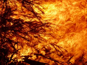 Waldbrand: Kranke Haut reagiert sofort auf externe Einflüsse (Foto: pixabay.com, Julie Clarke)