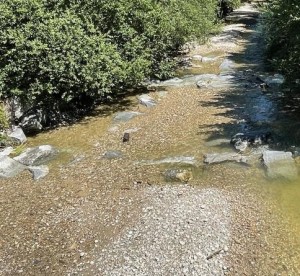 Bach: 30 Prozent der Niederschlagsdefizite bewirken Pegeltiefstände (Foto: Andreas Bättig, slf.ch)