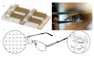 Eye-Tracking erfährt Neu-Justierung (Bild: DOI: 10.48550/arxiv.2403.08297)