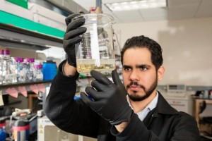 Ramón Sánchez im Chemielabor der University of Texas at El Paso (Foto: utep.edu)