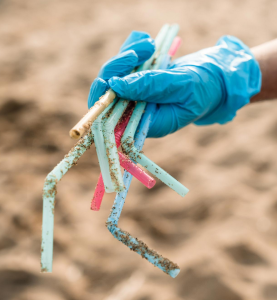 Acht Trinkhalme, deren Abbaubarkeit die Forscher getestet haben (Foto: Bryan James, whoi.edu)