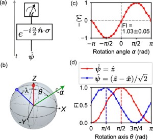 Mit einem Ein-Qubit-Sensor erreichbare Fisher-Information (Bild: Physical Review Letters, 2024)