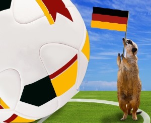 Deutschland-Fan: Wer emotional dabei ist, bleibt länger gesund (Bild: pixabay.com, garten-gg)