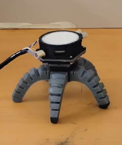 Zukunftsweisender Roboter, der von Pilzsignalen gesteuert wird (Foto: cornell.edu)