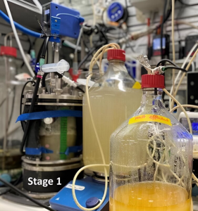 Bioreaktor (links): Dieser produziert Proteine und Vitamine aus CO2 (Foto: Lisa Schmitz)