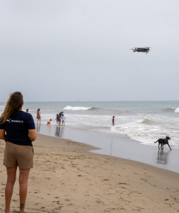 Drohnenpilotin bei der Suche nach Haien: ermöglicht bessere Prognosen (Foto: Neil Nathan, ucsb.edu)