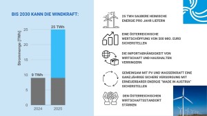 Windkraft kann bis 2030 25 TWh saubere heimische Energie pro Jahr liefern (Bild: IG Windkraft)