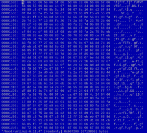 Speicherabbild eines komprimierten Programms (Bild: 2024, DeepSec GmbH)