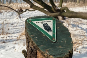 Naturdenkmal-Schild (Foto: goodRanking)