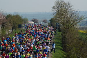 Marathon Deutsche Weinstraße