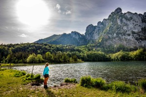 WALDNESS in der Region Traunsee-Almtal