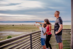 Naturgenuss am Neusiedler See