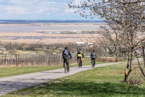 Losradeln im Nordburgenland