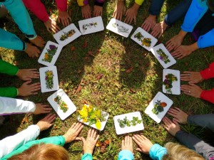 Frauenwandertage im Wald