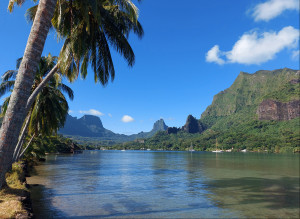 Cooks Bay - Moorea